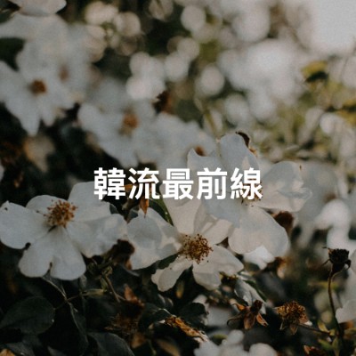 韓流最前線